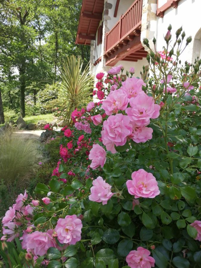 Villa Xaran Erdian Gite La Petite Maison Espelette Exteriör bild